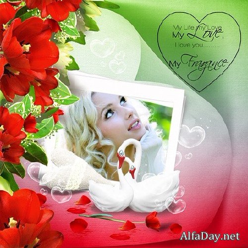 ������������� ����� ����� - ������ �����