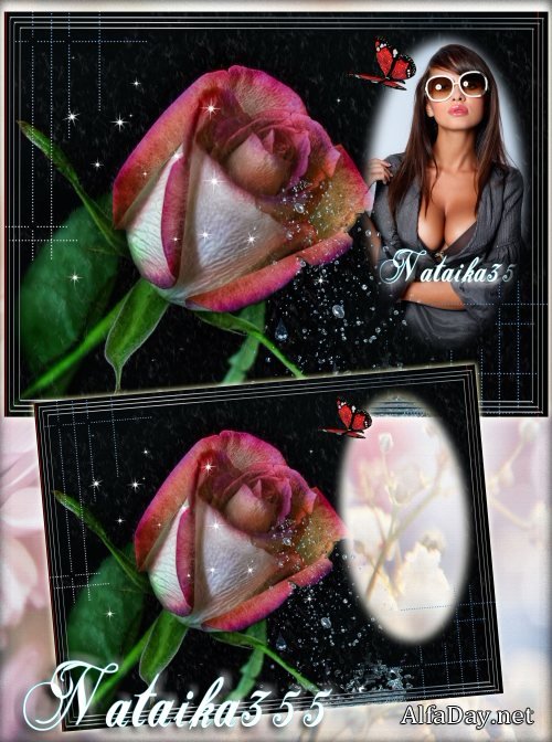 ����� ��� ���� - �������� ���� �� ���� �����