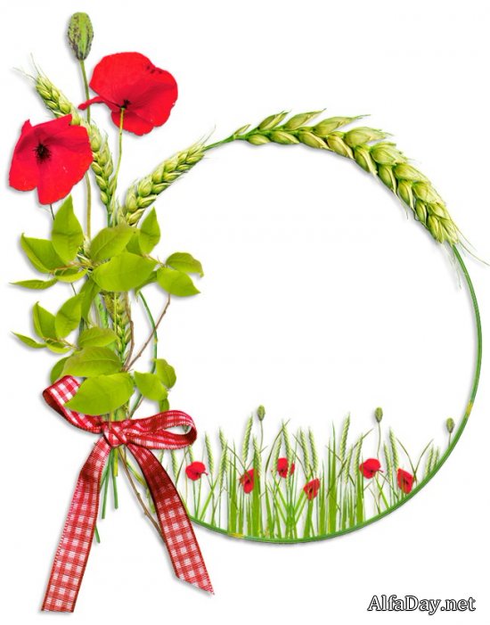 ����� ������ � �������, ���������� � �������� - ������� ��� ������������