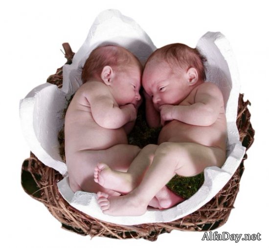 ��������� ����, ������, ��������, ��������, �������, ����� - ������� ��� ��������