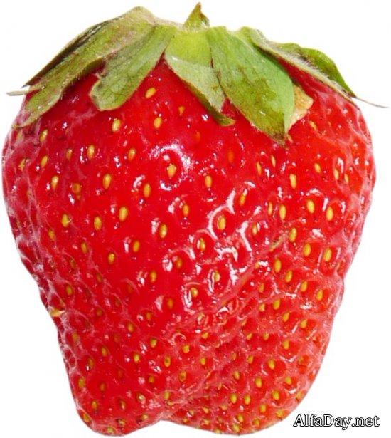 ��������� � ��������, ��������, � ���������, �������� - ������� PNG