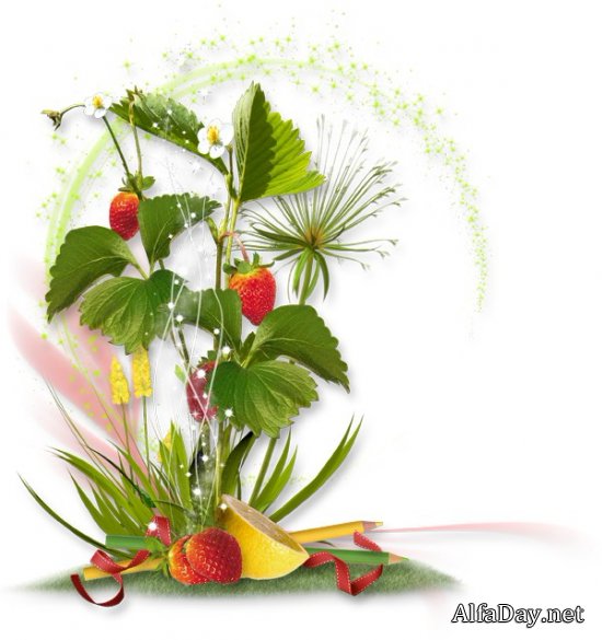 ��������� � ��������, ��������, � ���������, �������� - ������� PNG