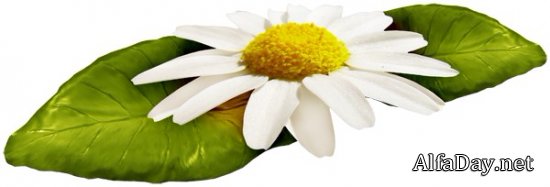 ������ �����, ������� �������, ����������, ������ - ������� ��� �������