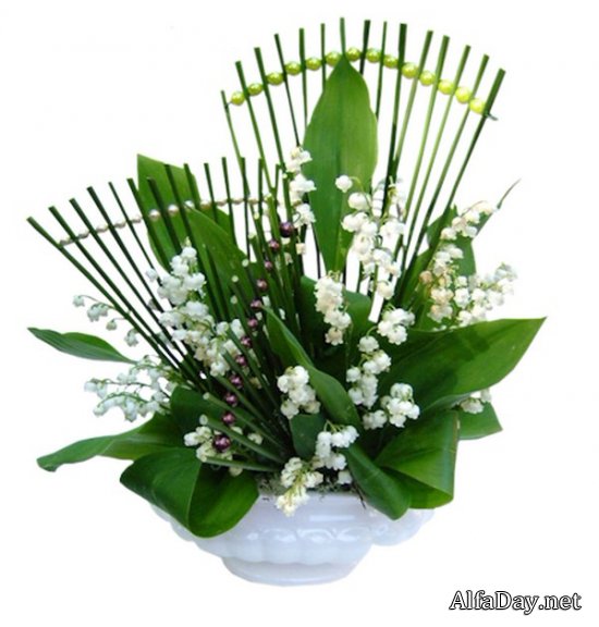 �������, ������, ������� � ����� - �������� ������� PNG