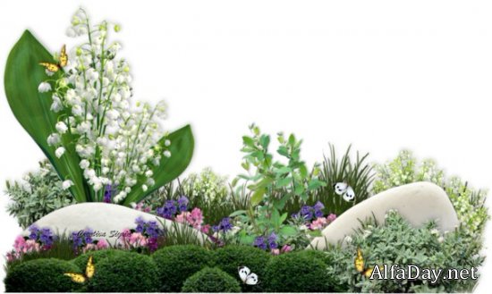 �������, ������, ������� � ����� - �������� ������� PNG