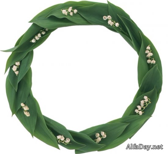 �������, ������, ������� � ����� - �������� ������� PNG