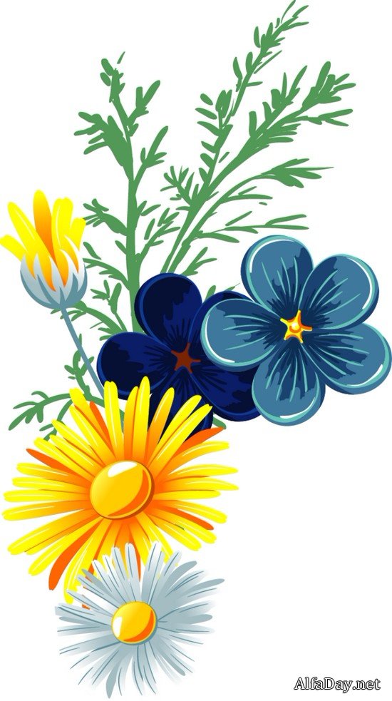 �����, ���������� ���������� � ��������� � ������� - ������� PNG