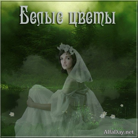 ����� �����, ������, ���������� � �������� - ������� ��� ������������