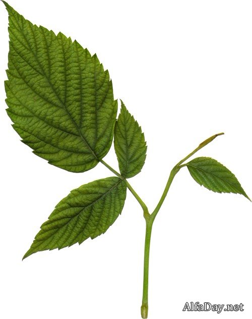 �������� ������, ������� � ������� ������ - ������� �� ���������� ����