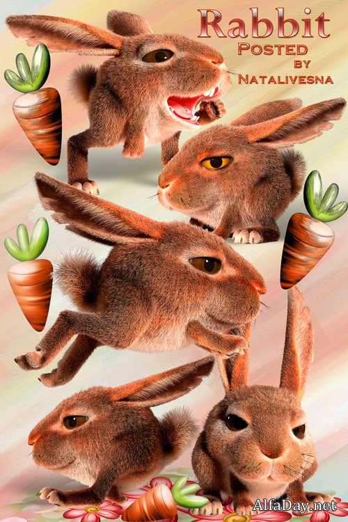 ����� �������� ������� ������ 3D - ������� � PNG