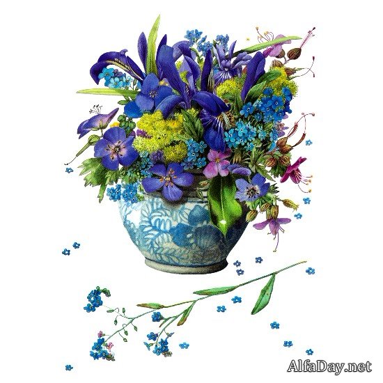 ������� ��������� ��������� Majolein Bastin - ������� PNG