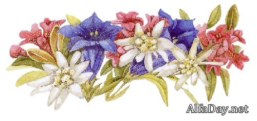 ������� ��������� ��������� Majolein Bastin - ������� PNG