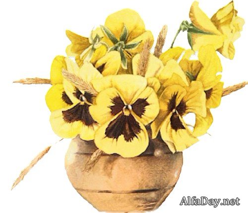 ������� ��������� ��������� Majolein Bastin - ������� PNG