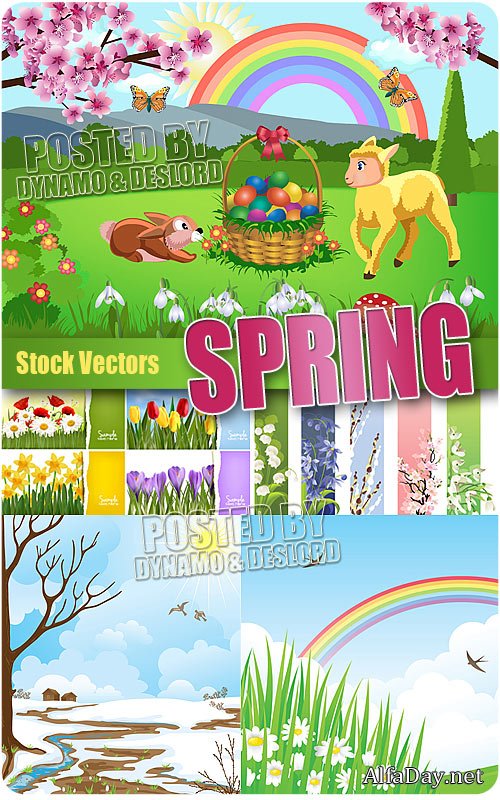 �����, �����, ������� - �����������, �������, ��������� �������