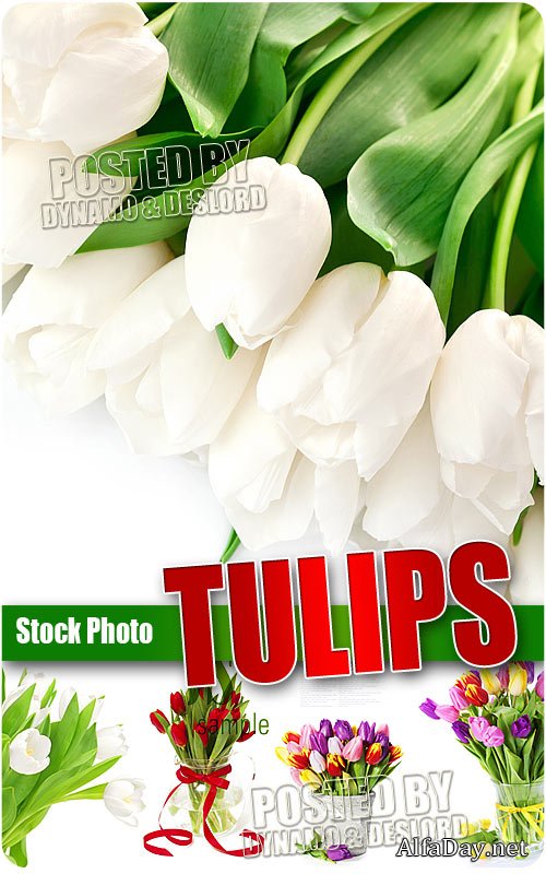 �������� ����������� ������, �������� � ������ - ����, ��������, ��������� �������