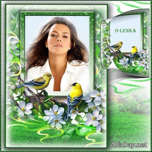 ����� ��� �������� - �������� ����������