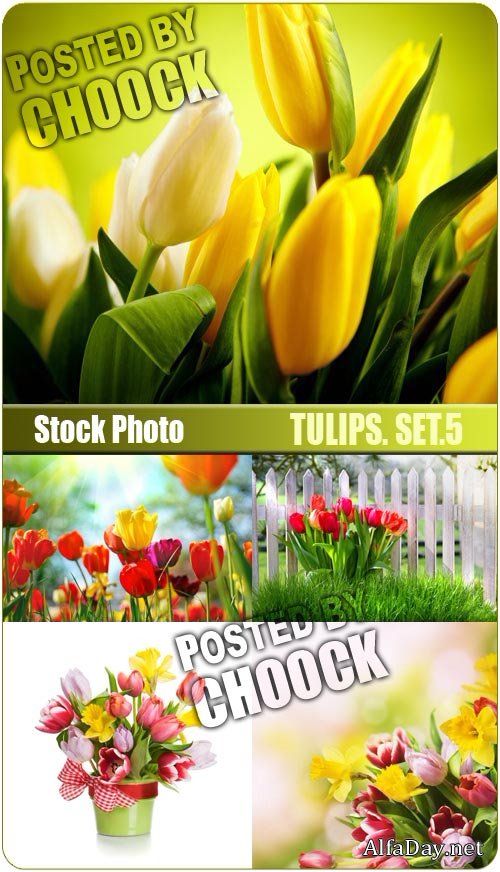 ��������, �������� �����, ����������� ������ � 8 ����� - ����, ��������� �������