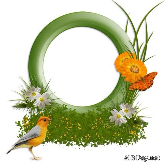 ��������� �������-�������� - ������� � ������� PNG