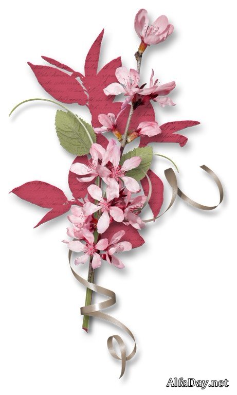 ��������� ��������, ���������� �� ������, ������ - ������� PNG