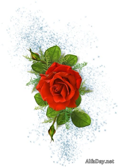 ��������� ��������, ���������� �� ������, ������ - ������� PNG