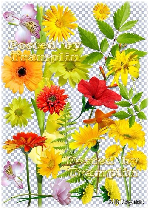 ������� � ��������, ���� �����������, ������ � ������� �����, �������, �������, ���������, ����� - ������� �� ���������� ����