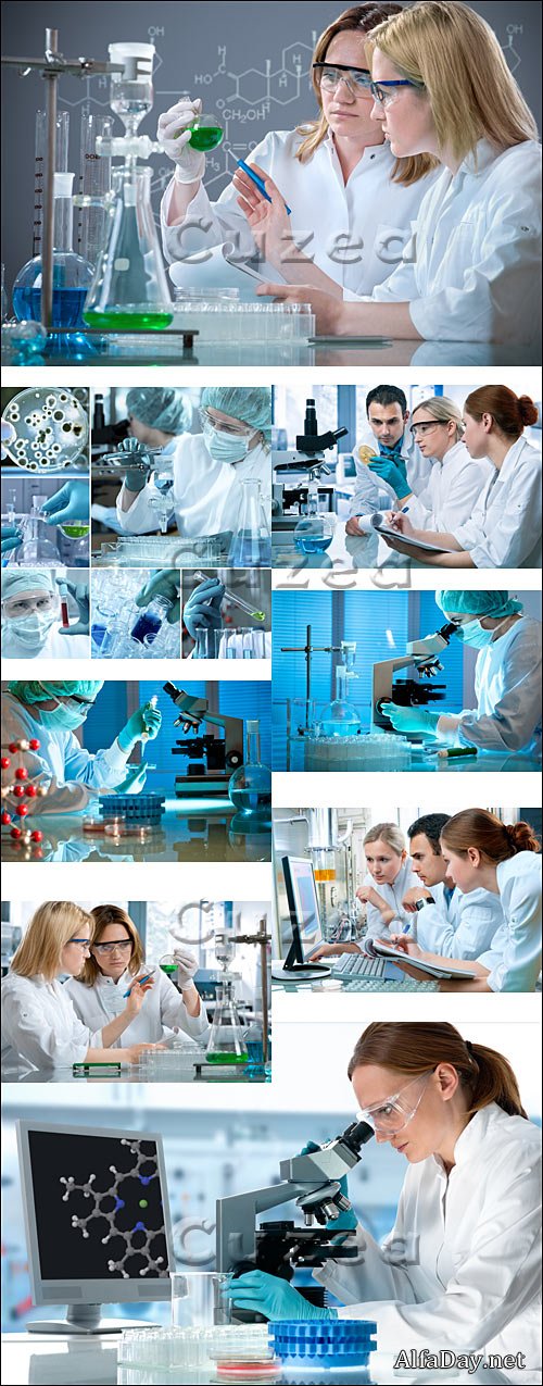 ���������� ������, �����������, ����� � ���������, ������, ��������� - ����, ��������� �������