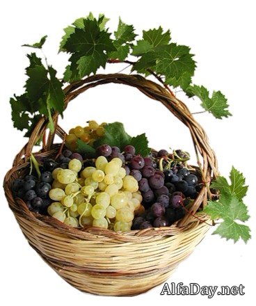 �������� � �������, ��������, �������� � ������� - ������� PNG