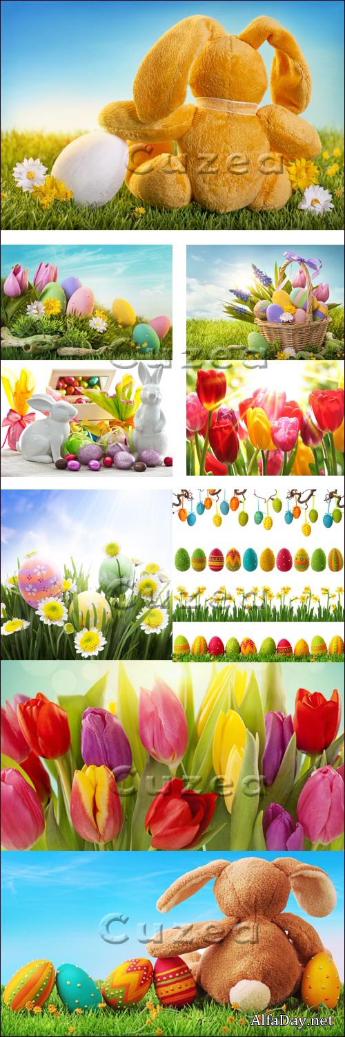 ���������� ������� � ����� - Stock photo