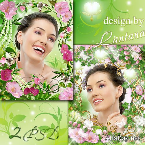 ������� - ������ � ����� - ����� ��������