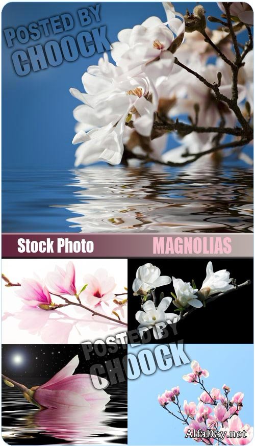 ����� ��������, ������� � ����� �������� - ��������� ������� �� ������, ����� � �������� ����