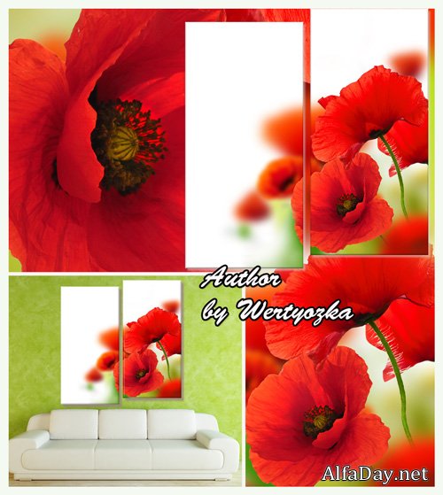 ������� ���� �� ����� ���� - ������ ��� ���������