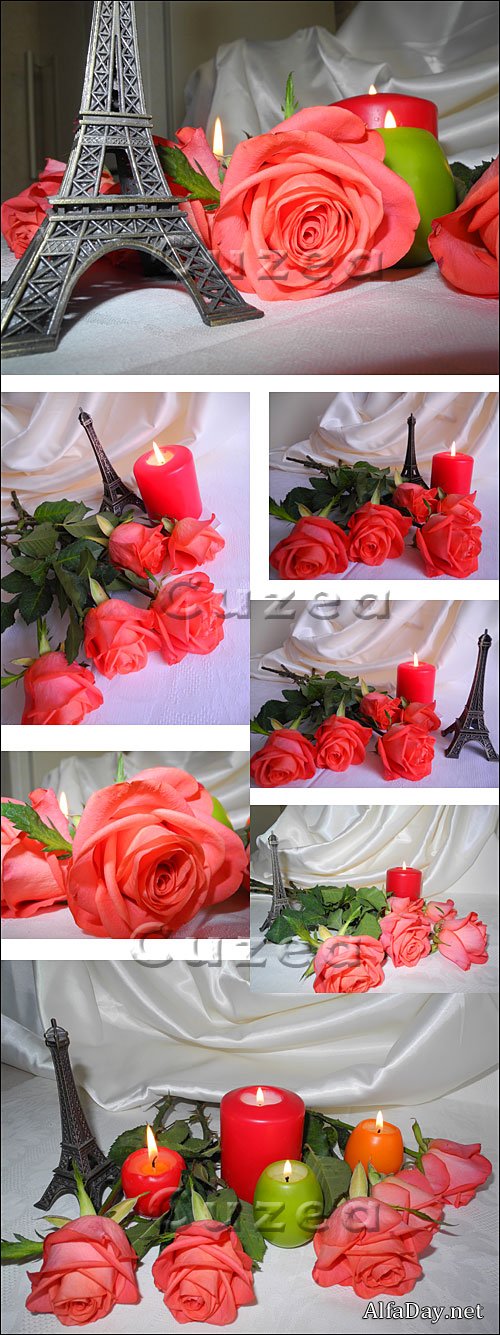 ��������� ��������� �����, ������ ��� � ������� ����� �� ����� ����� - ����, ��������� �������