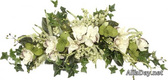 ����� �����, ������, ���������� � �������� - ������� ��� ������������