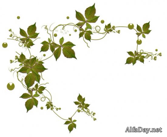 �������� ������, ������� � ������� ������ - ������� �� ���������� ����