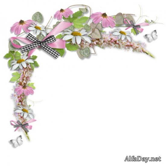 ��������� ��������, ���������� �� ������, ������ - ������� PNG