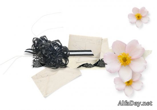 ��������� ��������, ���������� �� ������, ������ - ������� PNG