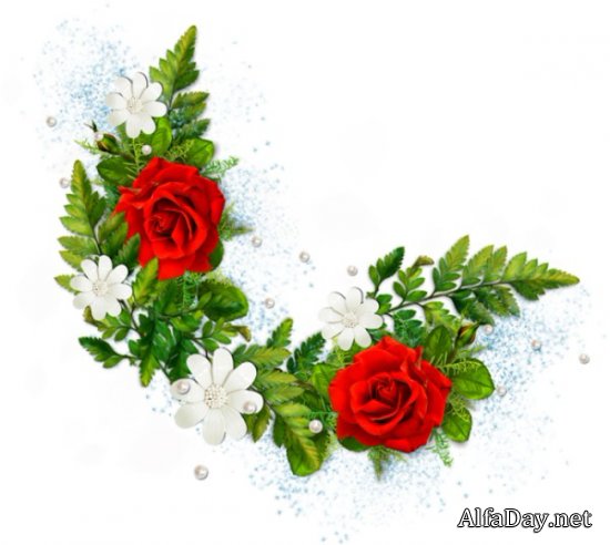 ��������� ��������, ���������� �� ������, ������ - ������� PNG