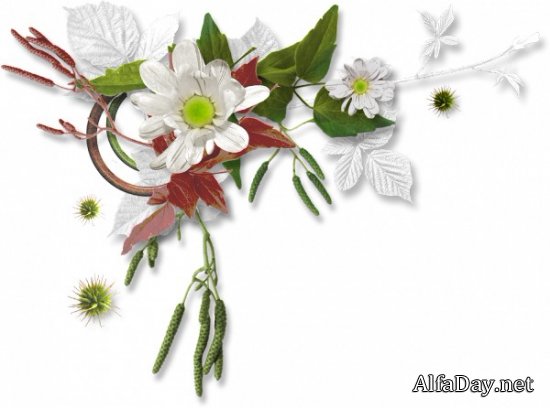 ��������� ��������, ���������� �� ������, ������ - ������� PNG