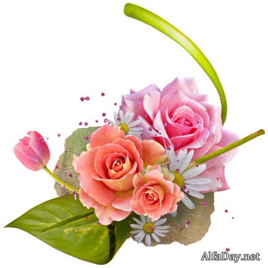 ��������� ��������, ���������� �� ������, ������ - ������� PNG