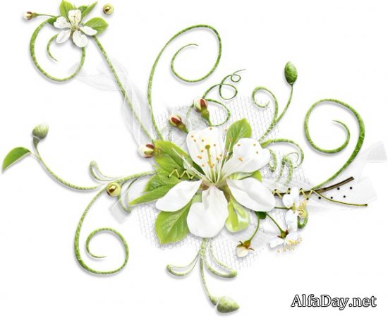 ��������� ��������, ���������� �� ������, ������ - ������� PNG