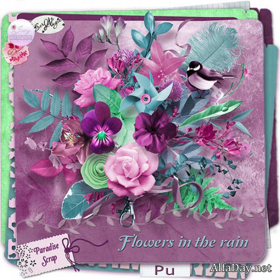 �����-����� - ����� ��� ����� Flowers In The Rain Scrap