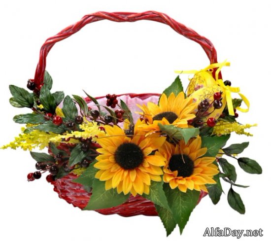 �������� � �������, ��������, �������� � ������� - ������� PNG