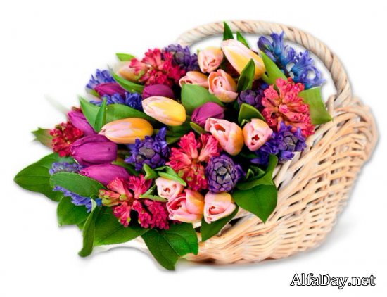 �������� � �������, ��������, �������� � ������� - ������� PNG