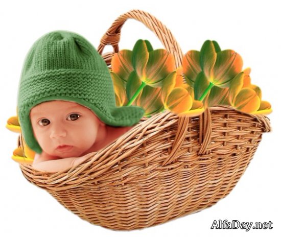 ����, ������� � ��������, ������, �������� �� ���������� ����