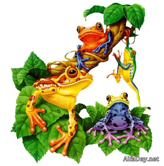 ���������� ��������, ������� ������� ��� ������������