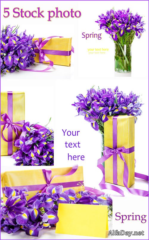 �����, ���������� ������� � �������� �� ����� ���� - ����, ��������� �������