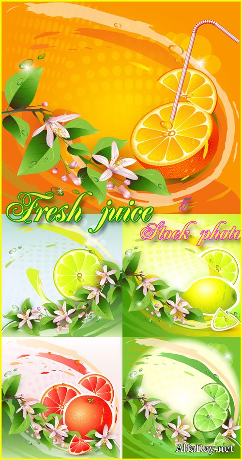 ����� � ����������, �����, ��������, ����, ���������� �� ����������� ���� - ��������� �������