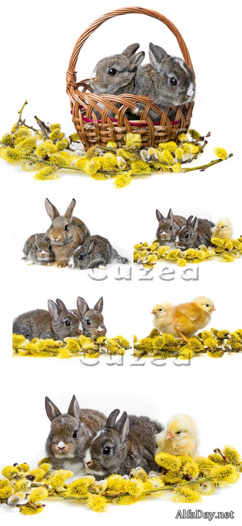 �������, ������� � ������� ����� - ���� �� ����� ����, ��������� �������