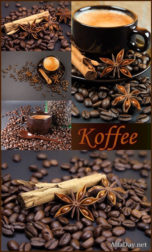 �������� �����, ������ �����, �������� ������ - ����, ����, ��������� �������