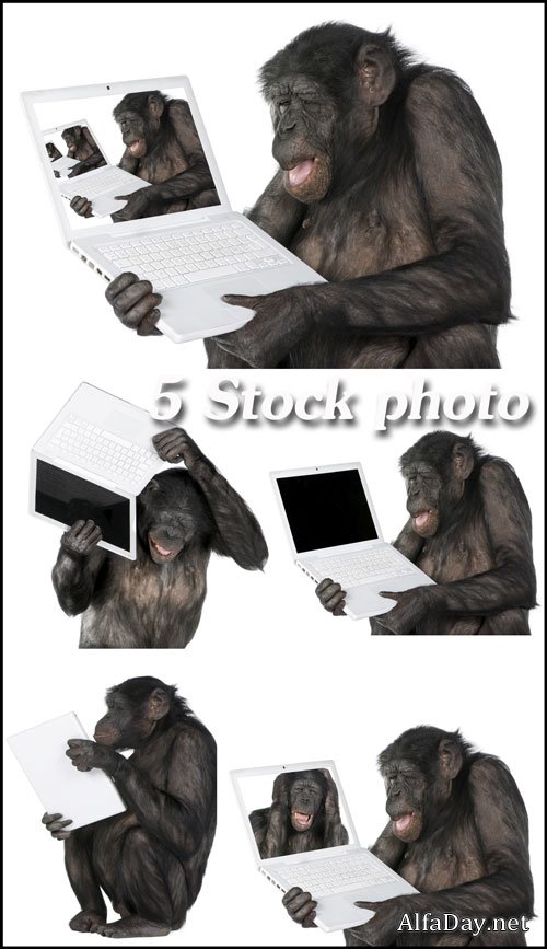 �������� � ��������� �� ����� ���� - ����, ��������� �������